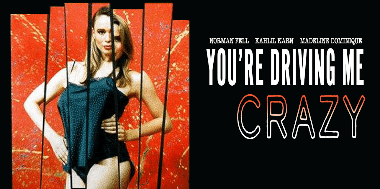 You're Driving Me Crazy (1991)