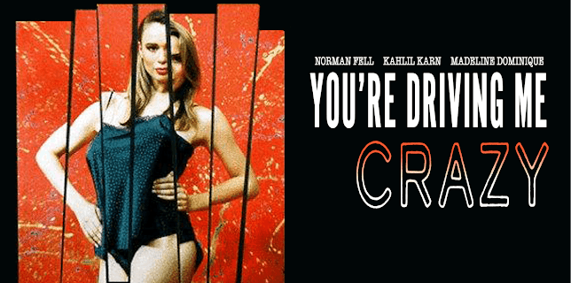 You're Driving Me Crazy (1991)