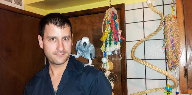 03:00: Bad Dog (S3 E3) (S3) | Animal Planet | 11/17 2025