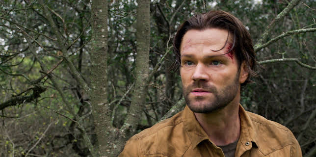 14:30: Walker (S3 E13) (S3) | Viasat Series | 12/25 2025