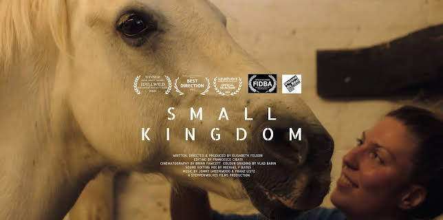 Small Kingdom (2022)