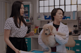 Strays S1: Girls' Night