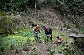 Destination Flavour: China: The Simple Life in Anhui