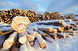 American Loggers Season 1: The Big Push