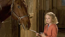 MAD FAMILY: 'CAMINO HACIA LA VICTORIA'