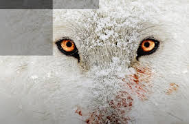 Hostile Planet: 1. Oceans