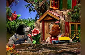 Bingo & Molly: Your Grass Is Greener