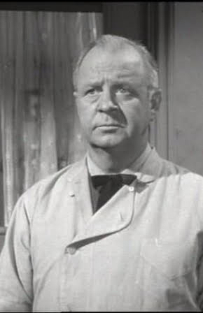 Harry Harvey as Dr. Hilton