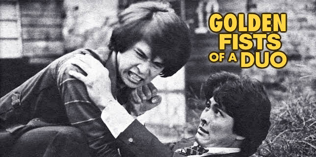 Golden Fists of a Duo (1981)