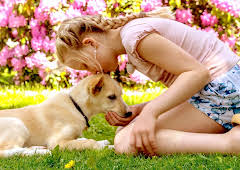 Valpedrømmen: Hedda og Stella