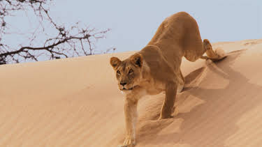 05:20: Eine Erde - viele Welten | ZDFneo | 4/19 2026