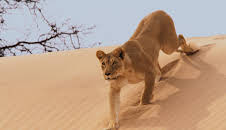 Eine Erde - viele Welten