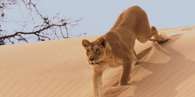 06:35: Eine Erde - viele Welten | ZDFneo | 11/16 2025