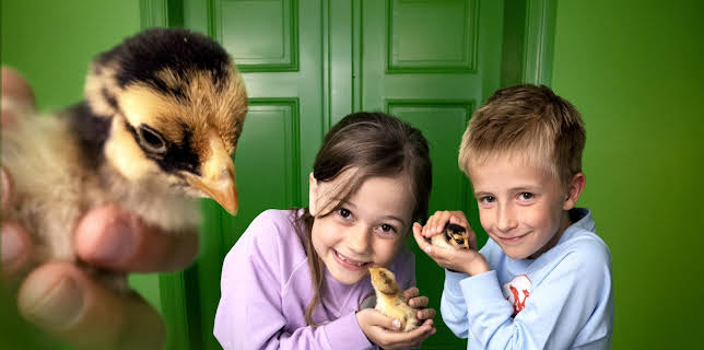 16:35: Dyredilla: Sjefen som høne | NRK Super | 12/16 2025