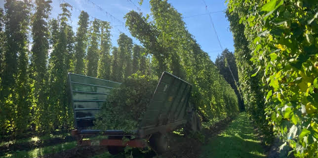10:15: Landgasthäuser Bierschmankerl | HR Fernsehen | 12/28 2025