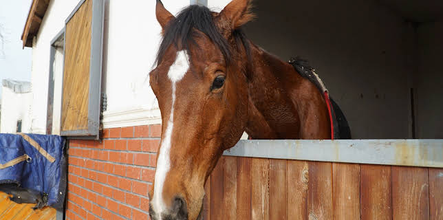 06:00: How Do They Do It? (S16 E4) (S16) | Discovery Channel | 11/10 2025