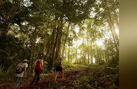 Murder in Paradise Season 1: Student Body