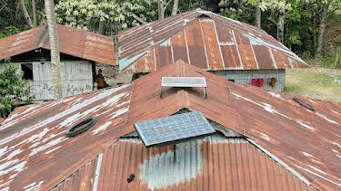 05:10: Gute Nachrichten vom Planeten | Arte | 4/24 2026