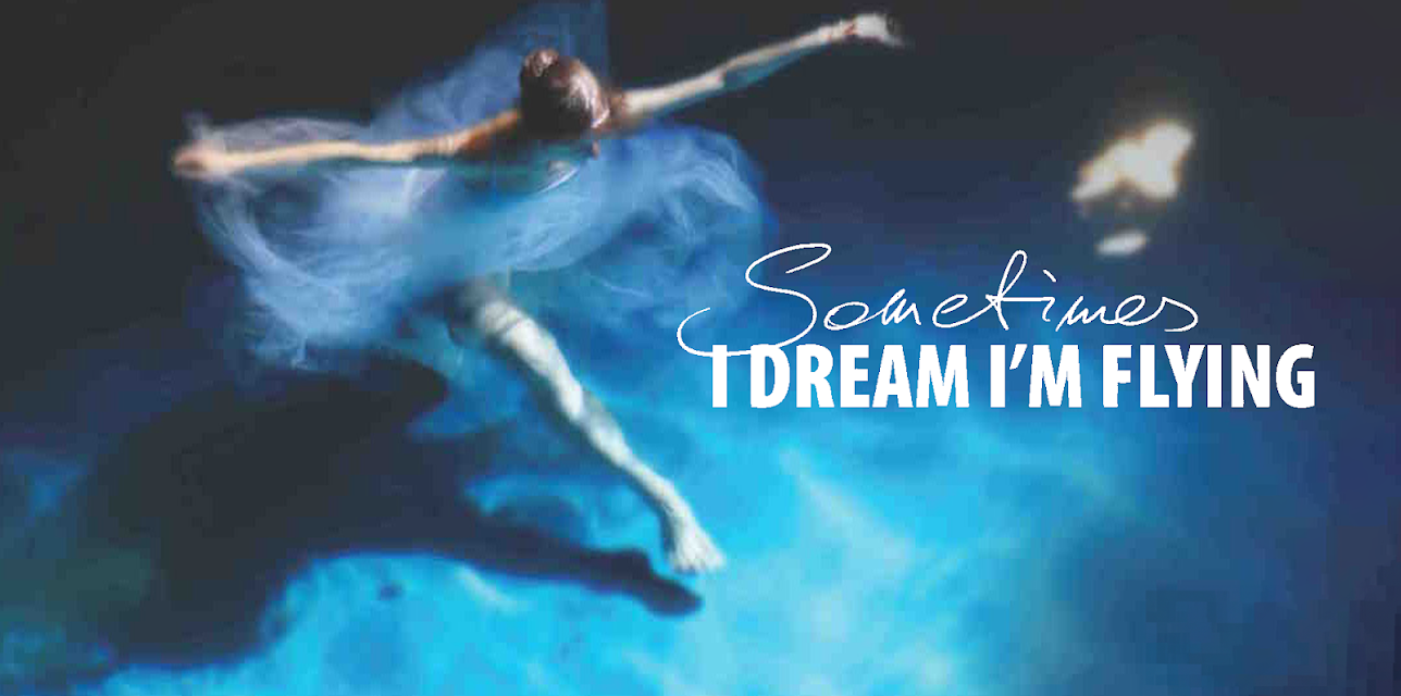 Sometimes I Dream I'm Flying (2013)