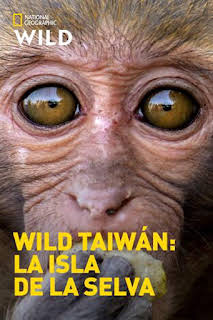 00:30: Wild Taiwán: la isla de la selva | Nat Geo Wild | 3/14 2026