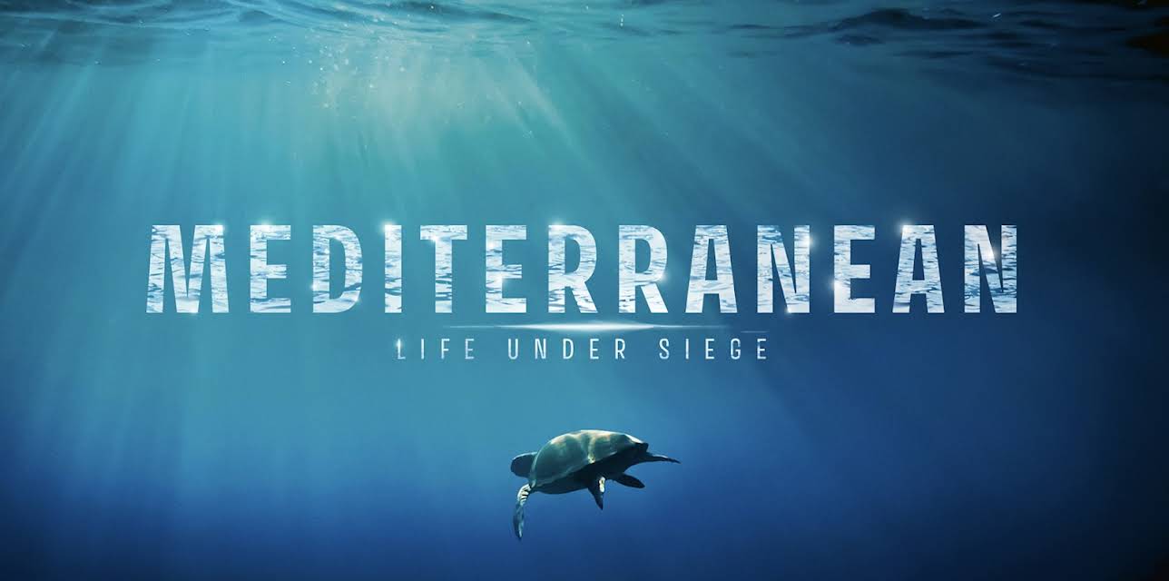 Mediterranean: Life Under Siege
