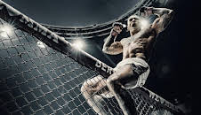 Fight House - Der Weg zum MMA-Profi