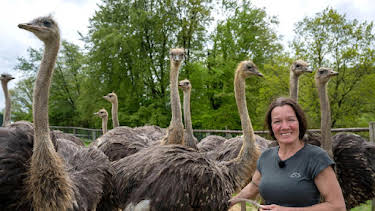 07:10: Hofgeschichten - Ackern zwischen Alpen und Ostsee (15) | NDR Fernsehen | 4/19 2026