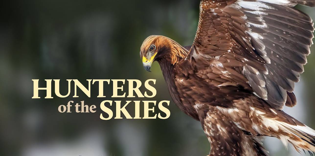 Hunters of the Skies (2026)