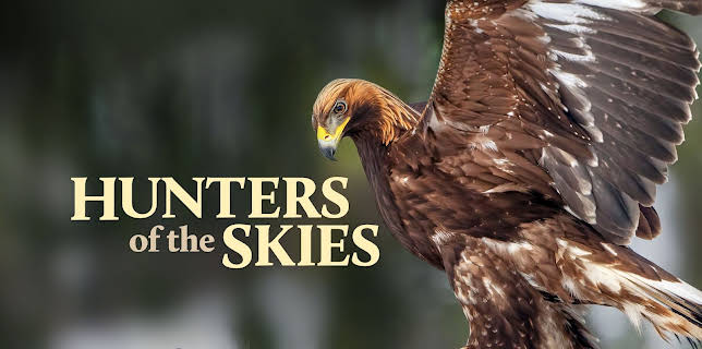 Hunters of the Skies (2026)