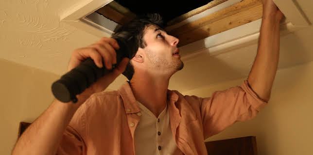 00:45: Intruders (S1 E6) (S1) | Animal Planet | 2/14 2026