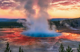 The Hidden Power of Microbes: Learning to Live in Extreme Environments