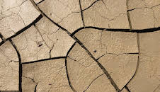 Hvordan den lages (S19 E10)