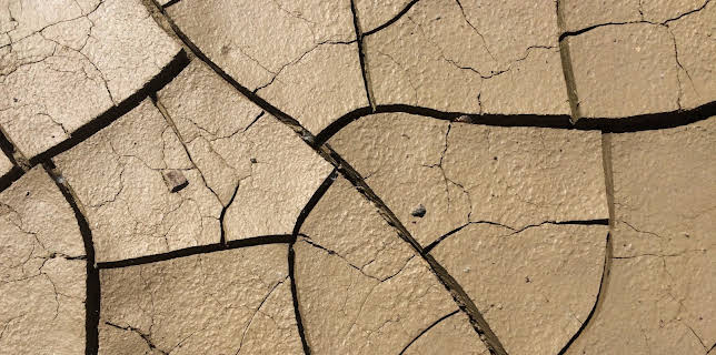 19:20: How It's Made (S19 E10) (S19) | Discovery Science | 12/15 2025