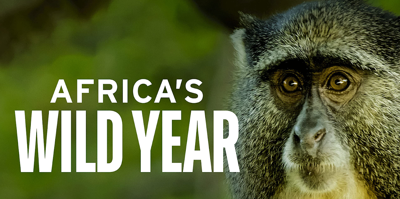 Africa's Wild Year, Season 1