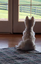 Bernadette Caulfield as 