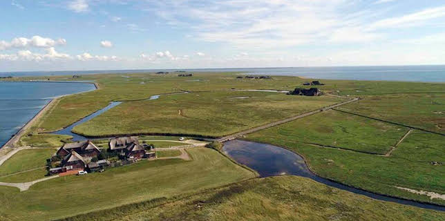 14:00: die nordstory - Wir alle sind Hooge | NDR Fernsehen | 12/9 2025