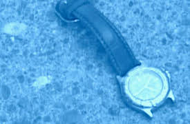 Exhibit A: Secrets of Forensic Science: A Dark Crime