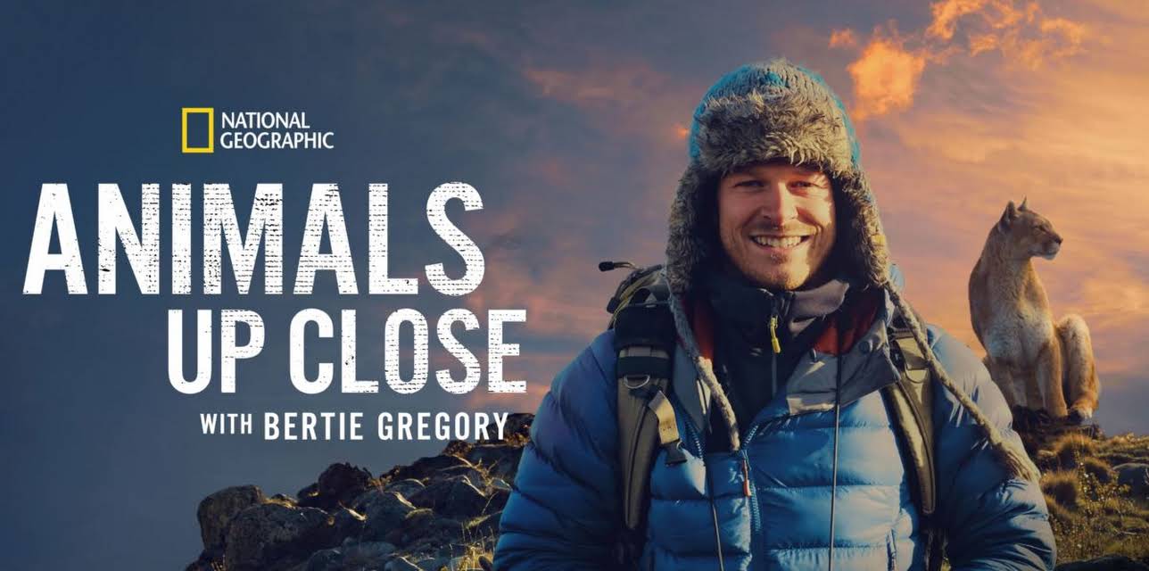 Animals Up Close with Bertie Gregory