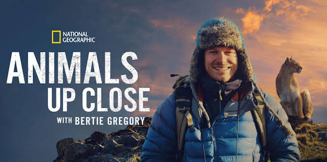 Animals Up Close with Bertie Gregory