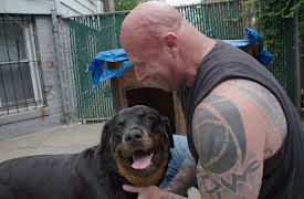 Guardians Of Rescue: Episode 4