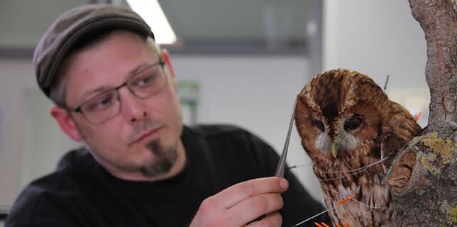 19:30: Handwerkskunst! | ARD Alpha | 1/8 2026