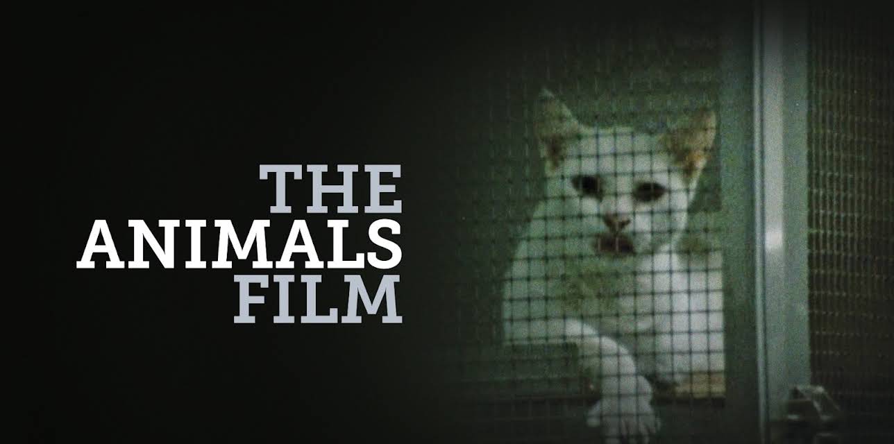 The Animals Film (1981)