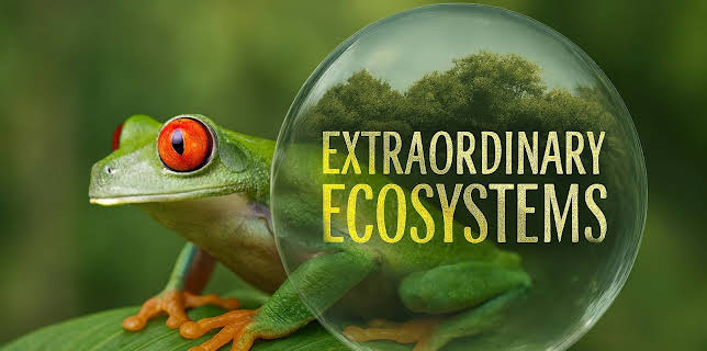 Extraordinary Ecosystems (2022)