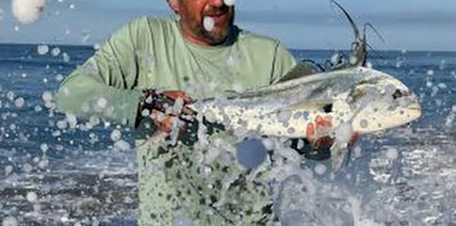 11:17: De viaje: De Vallarta a Mismaloya | Caza y Pesca | 2/12 2026