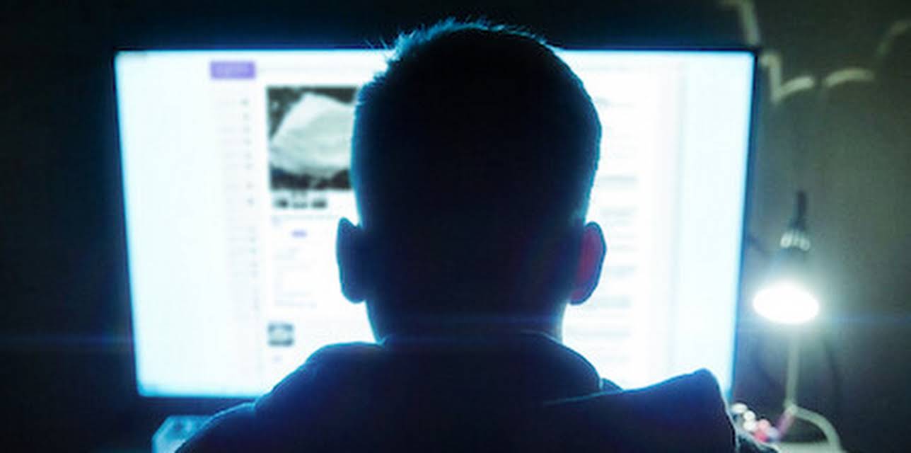 Shiny_Flakes: The Teenage Drug Lord (2021)