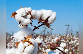 Foundations of Western Civilization II: A History of the Modern Western World: Beginnings of Industrialization - 1760 - 1850