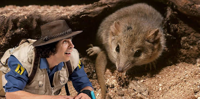 5:00 PM: Andy's Safari Adventures (S1) | Cbeebies | 2/16 2026