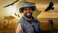 Hamza: Birds of Prey
