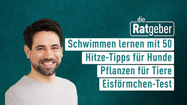 16:30: Die Ratgeber | HR Fernsehen | 7/5 2026