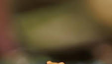 Supersentidos: Supervista